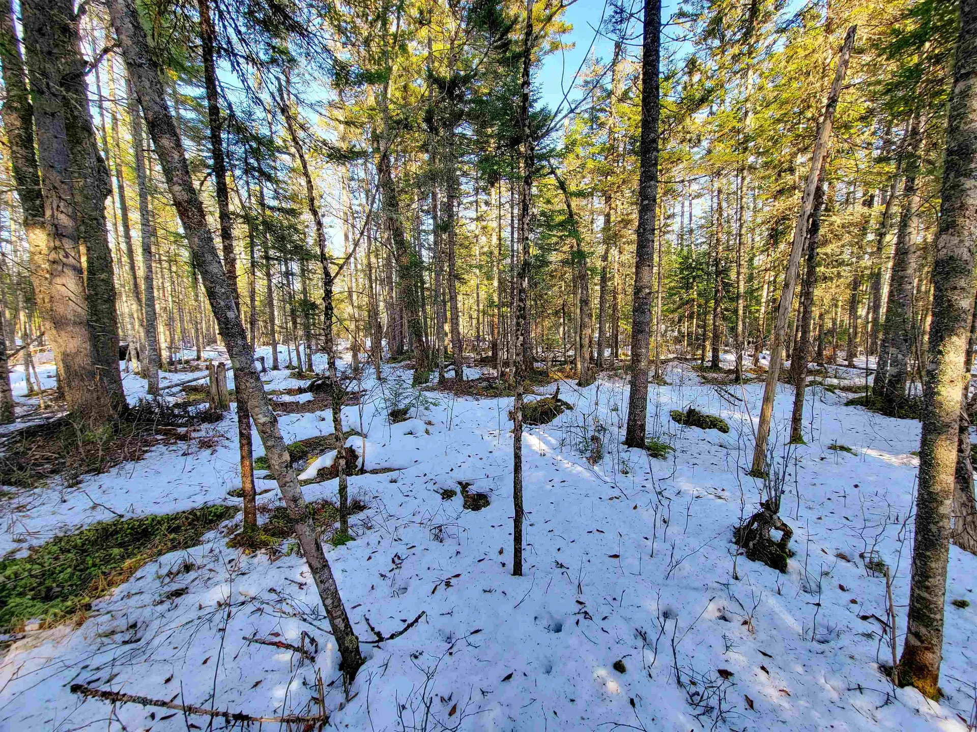 1659 Sims Hill Road Lemington VT 05903