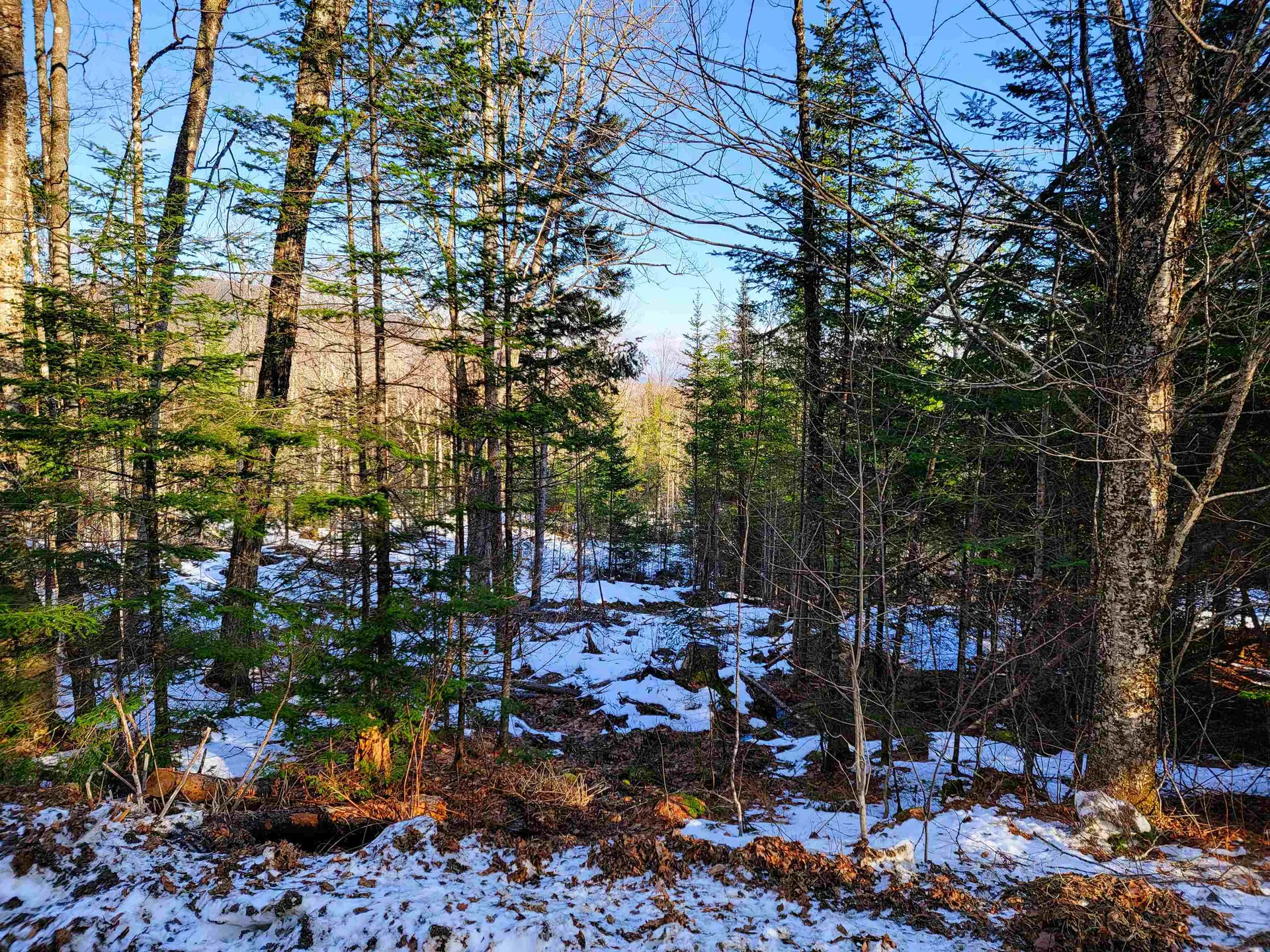 1659 Sims Hill Road Lemington VT 05903