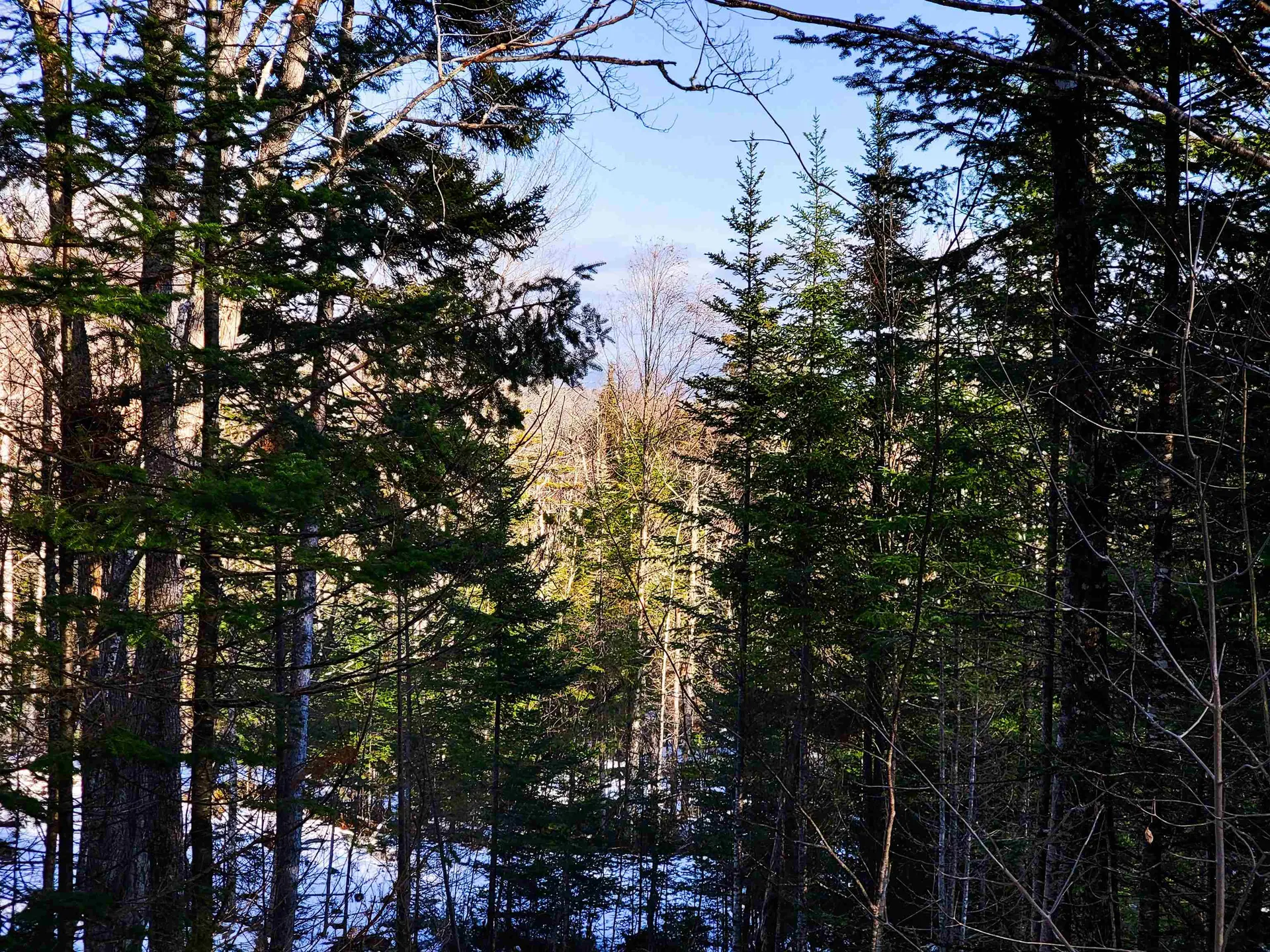 1659 Sims Hill Road Lemington VT 05903