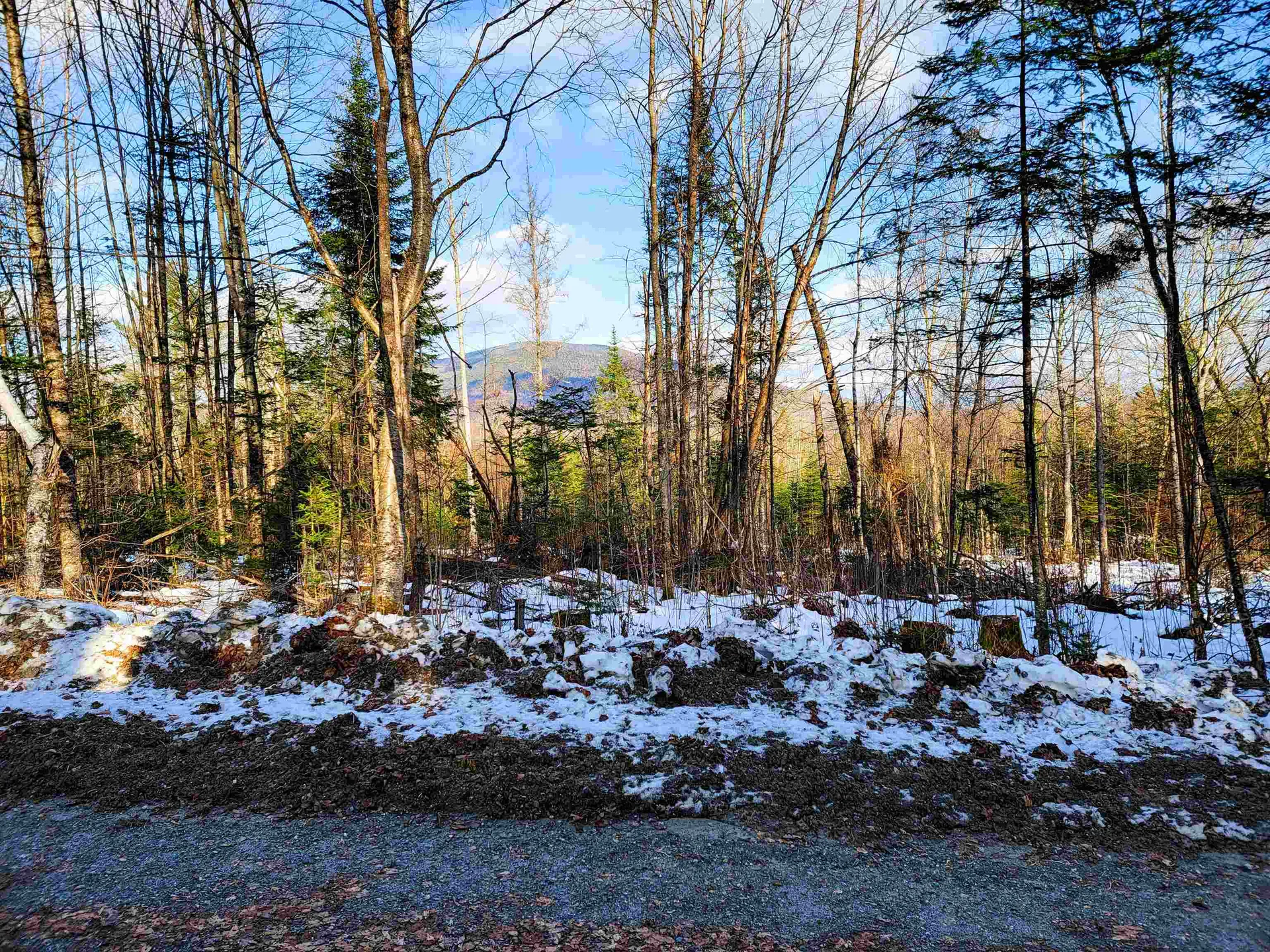 1659 Sims Hill Road Lemington VT 05903