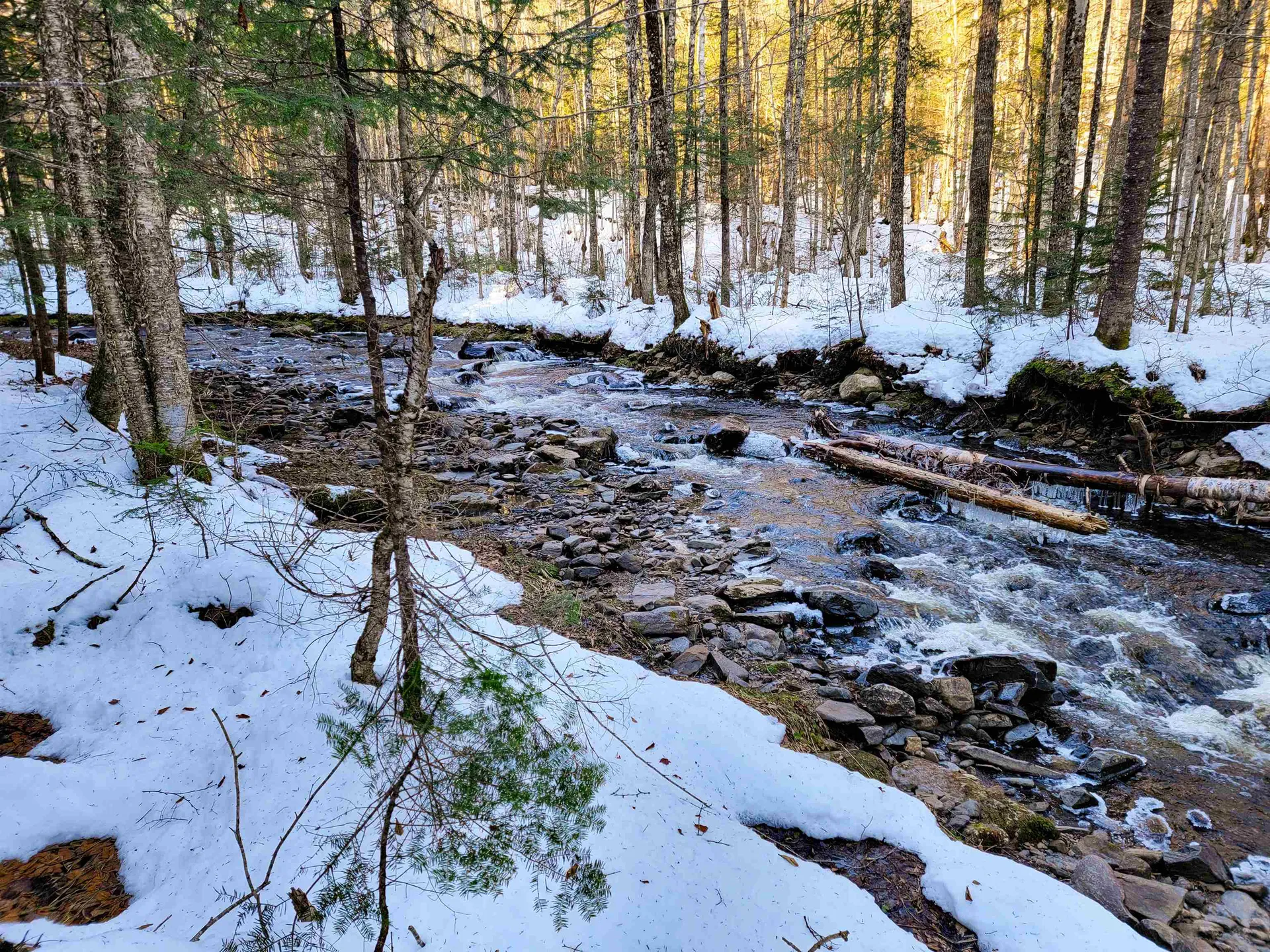 1659 Sims Hill Road Lemington VT 05903