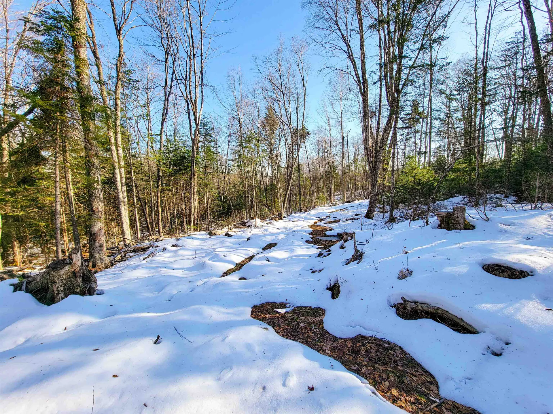 1659 Sims Hill Road Lemington VT 05903