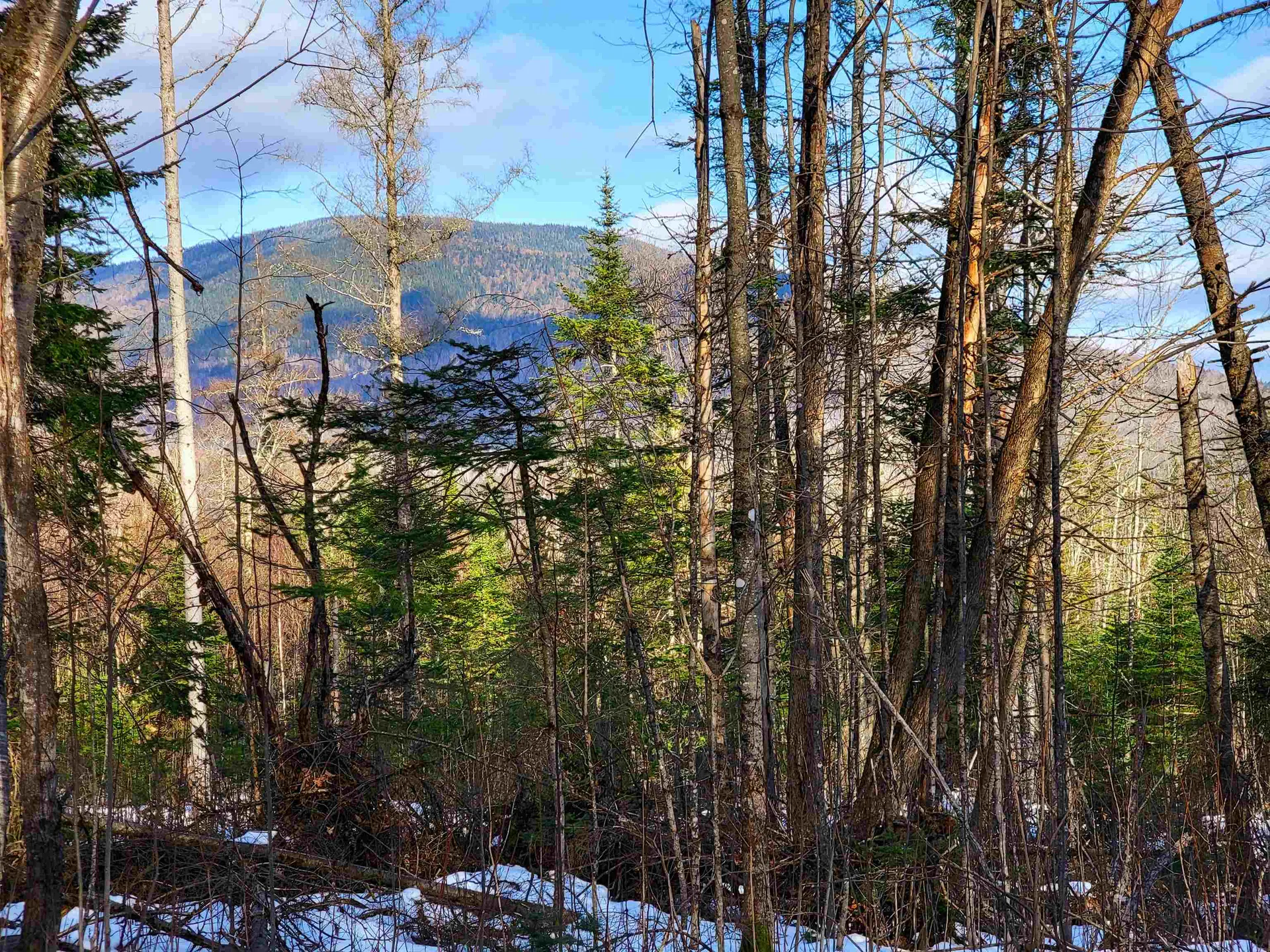 1659 Sims Hill Road Lemington VT 05903