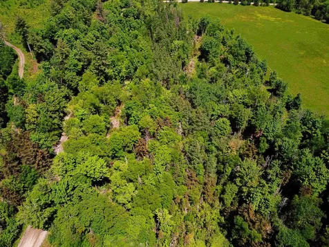 1650 Sims Hill Road Lemington VT 05903