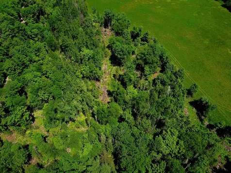 1650 Sims Hill Road Lemington VT 05903