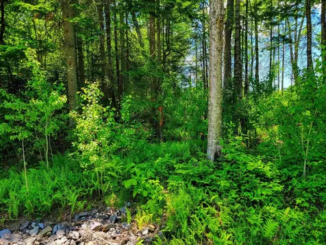 1650 Sims Hill Road Lemington VT 05903