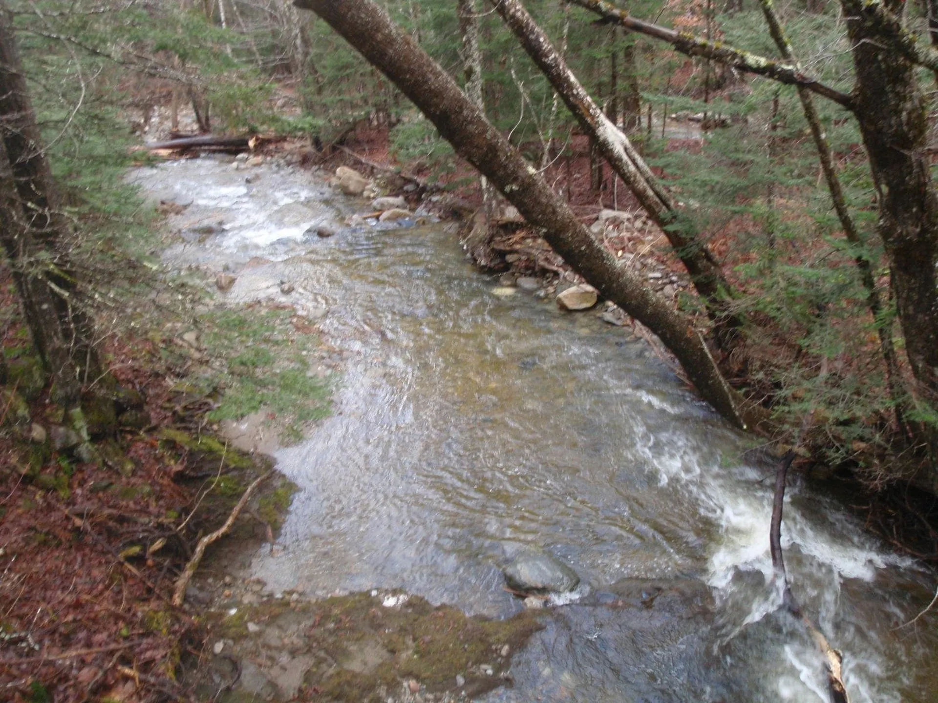 127 New Colony Road Orange NH 03741