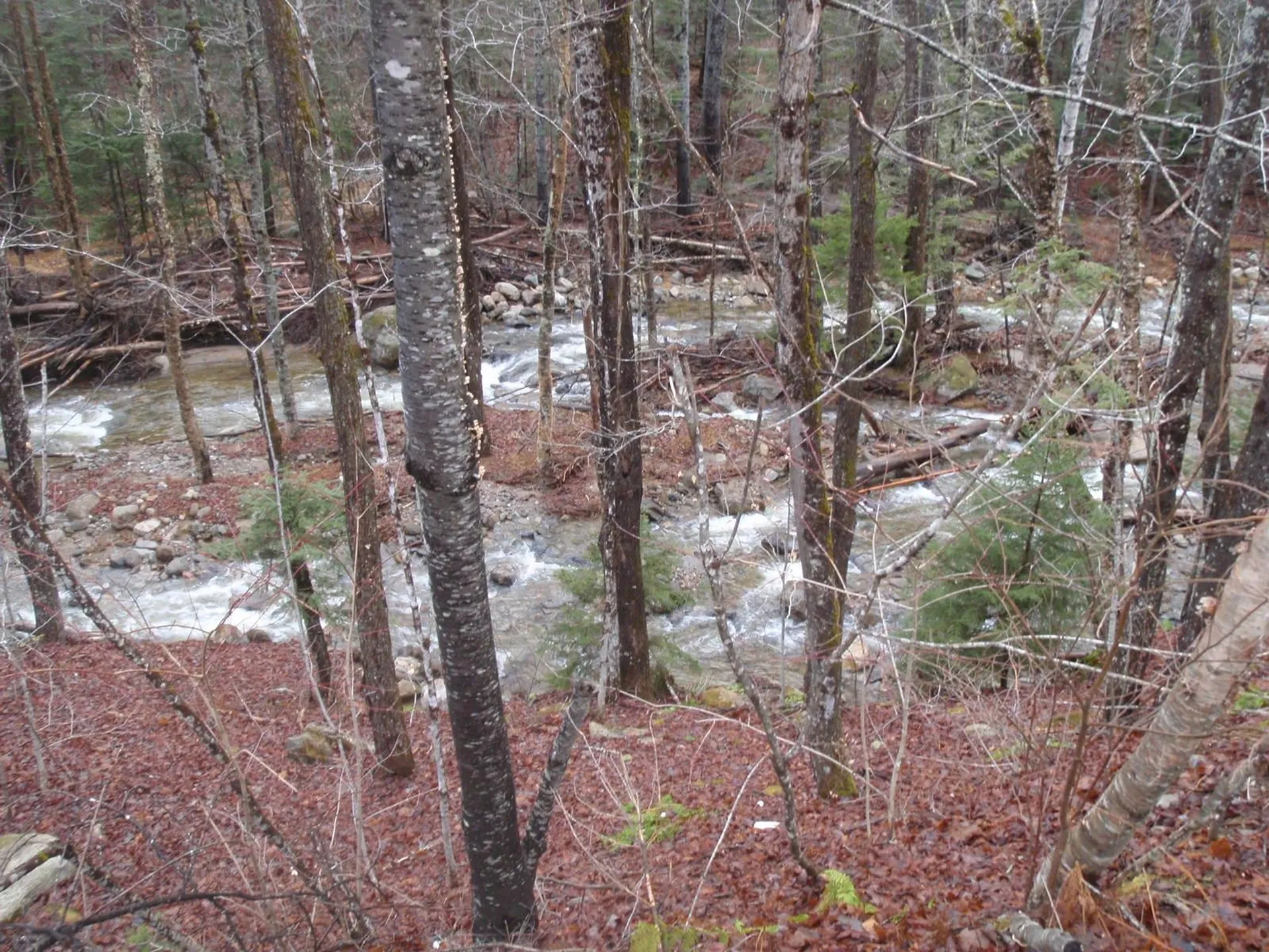 127 New Colony Road Orange NH 03741