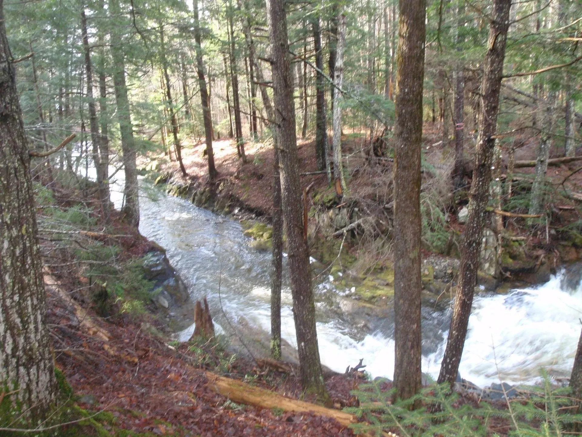 127 New Colony Road Orange NH 03741