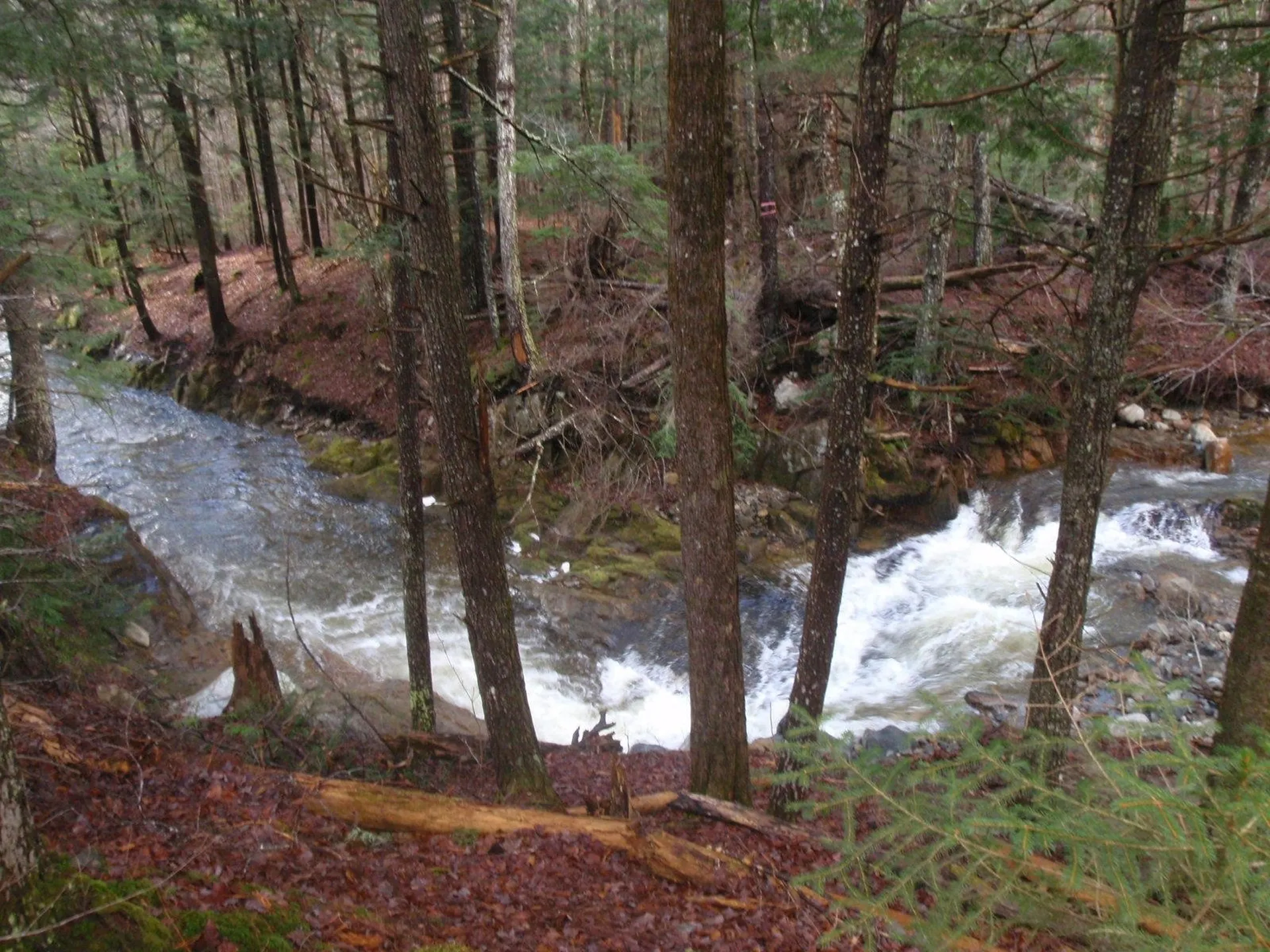 127 New Colony Road Orange NH 03741