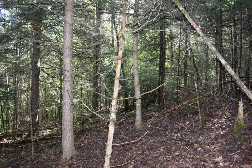 Lot 266 King Drive Haverhill NH 03765