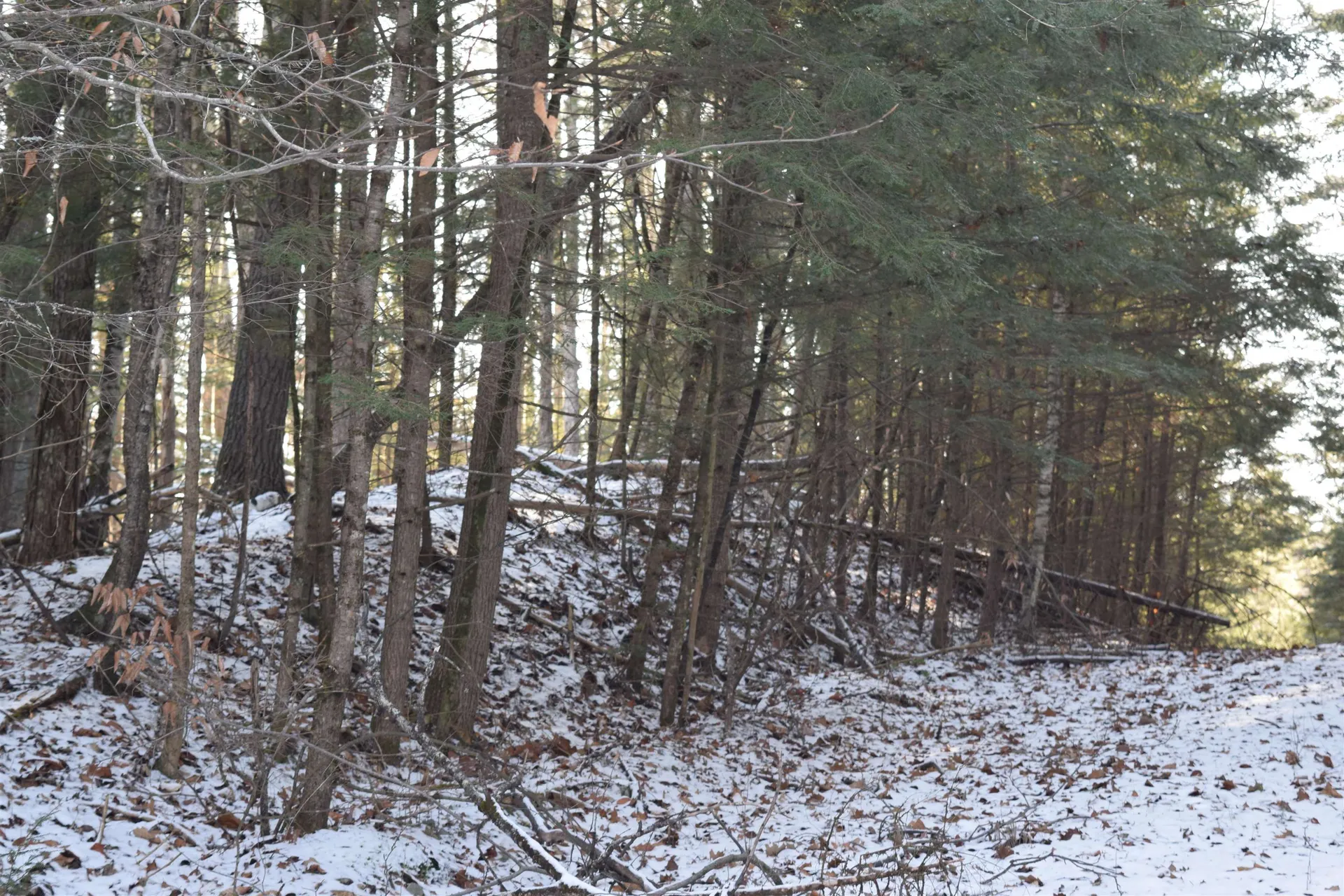 Lot 266 King Drive Haverhill NH 03765