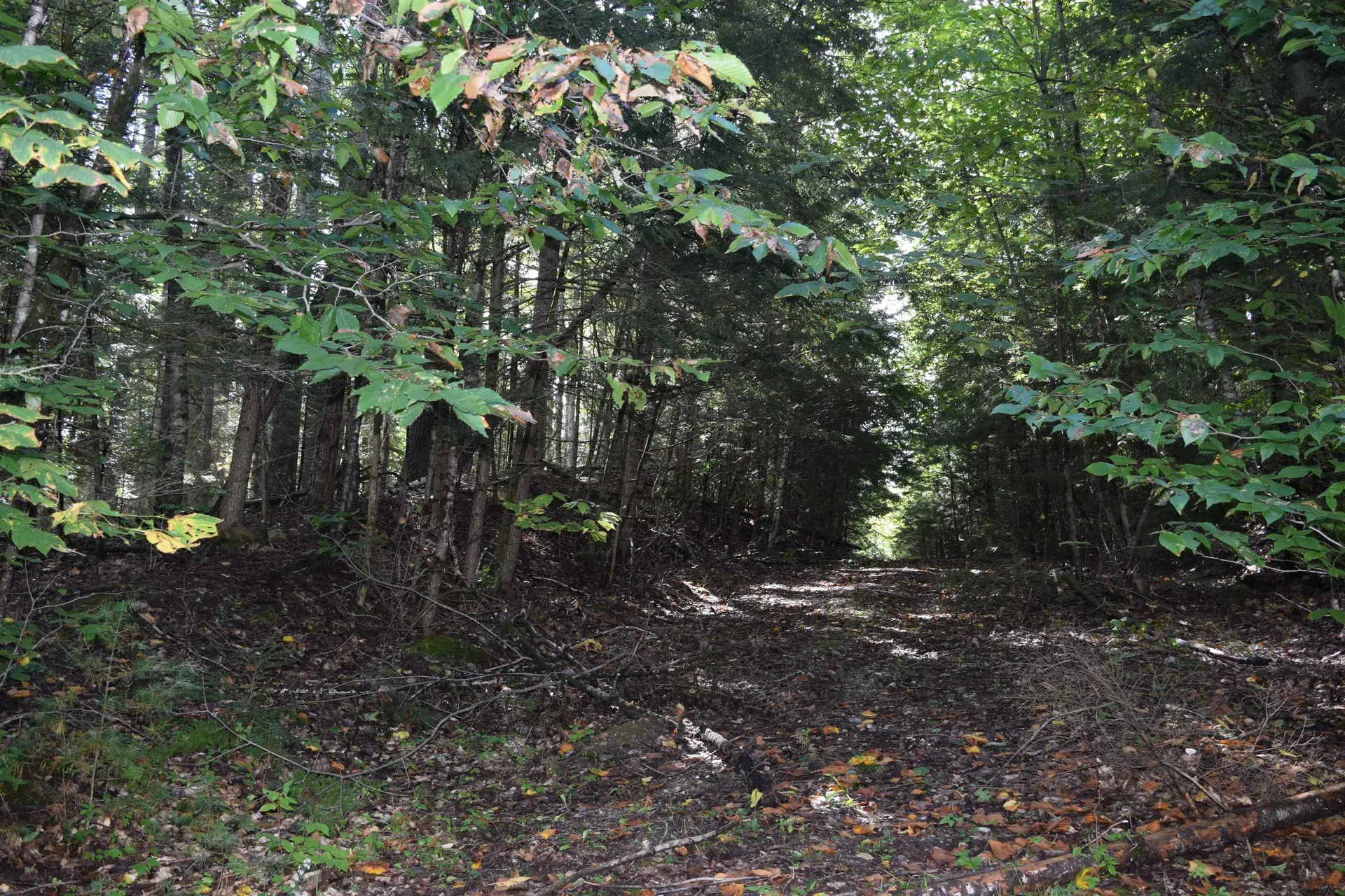 Lot 266 King Drive Haverhill NH 03765