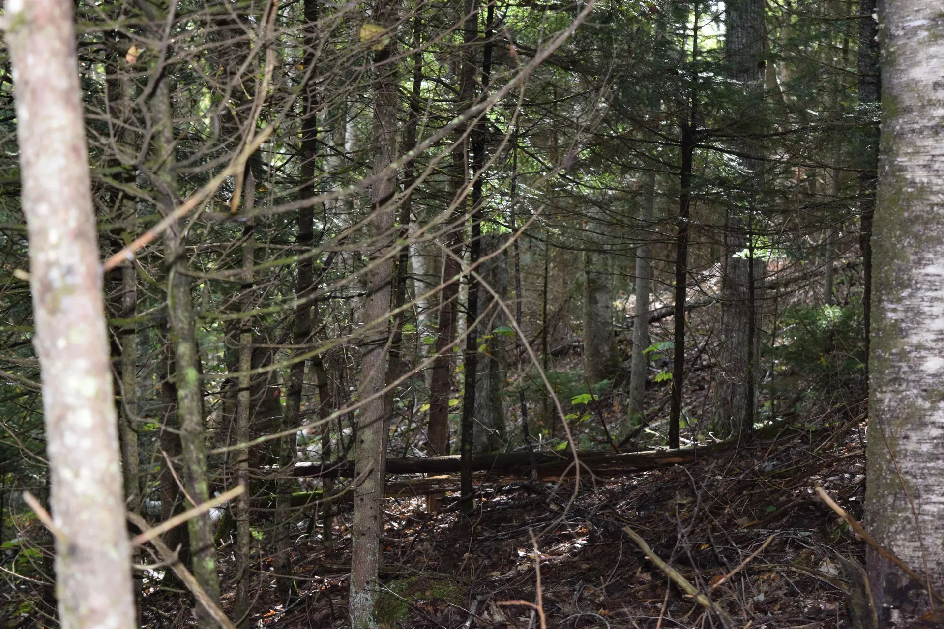 Lot 266 King Drive Haverhill NH 03765