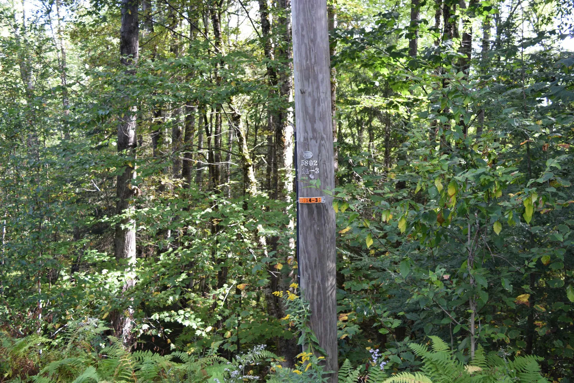 Lot 266 King Drive Haverhill NH 03765