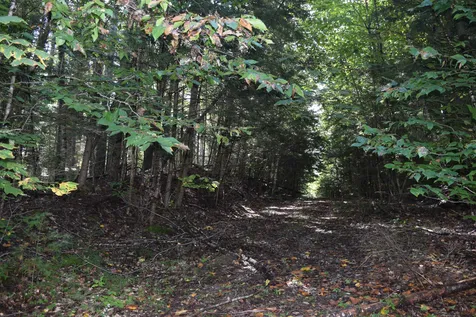 Lot 266 King Drive Haverhill NH 03765