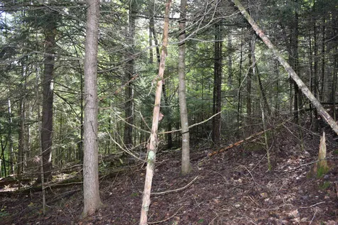 Lot 266 King Drive Haverhill NH 03765