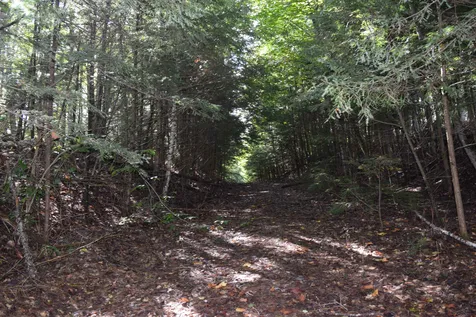Lot 266 King Drive Haverhill NH 03765