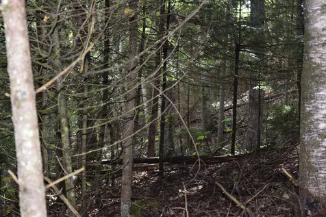 Lot 266 King Drive Haverhill NH 03765