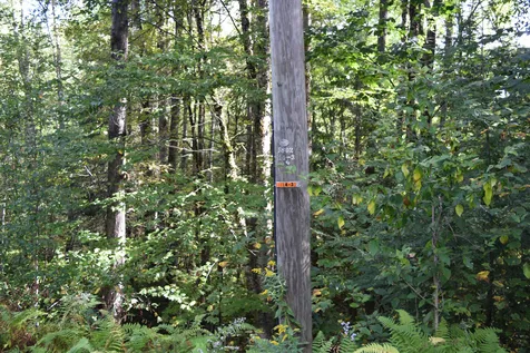 Lot 266 King Drive Haverhill NH 03765