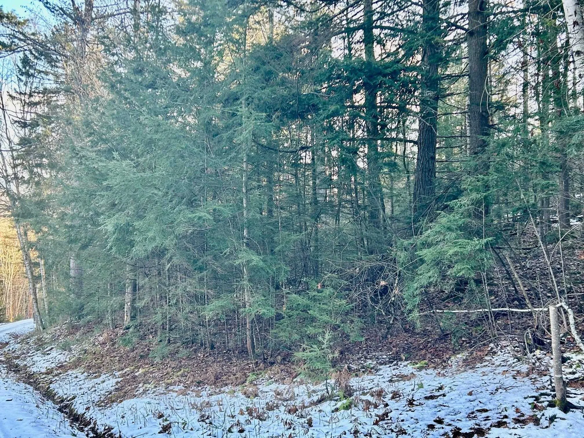 Longfellow Road Haverhill NH 03785
