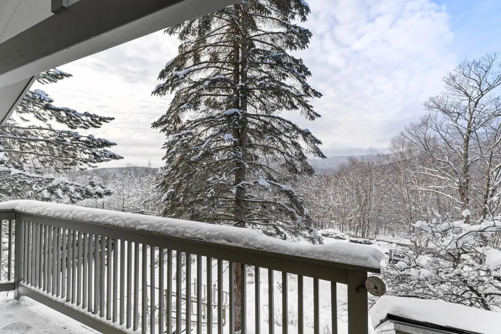 17 Bear Run Bolton VT 05676