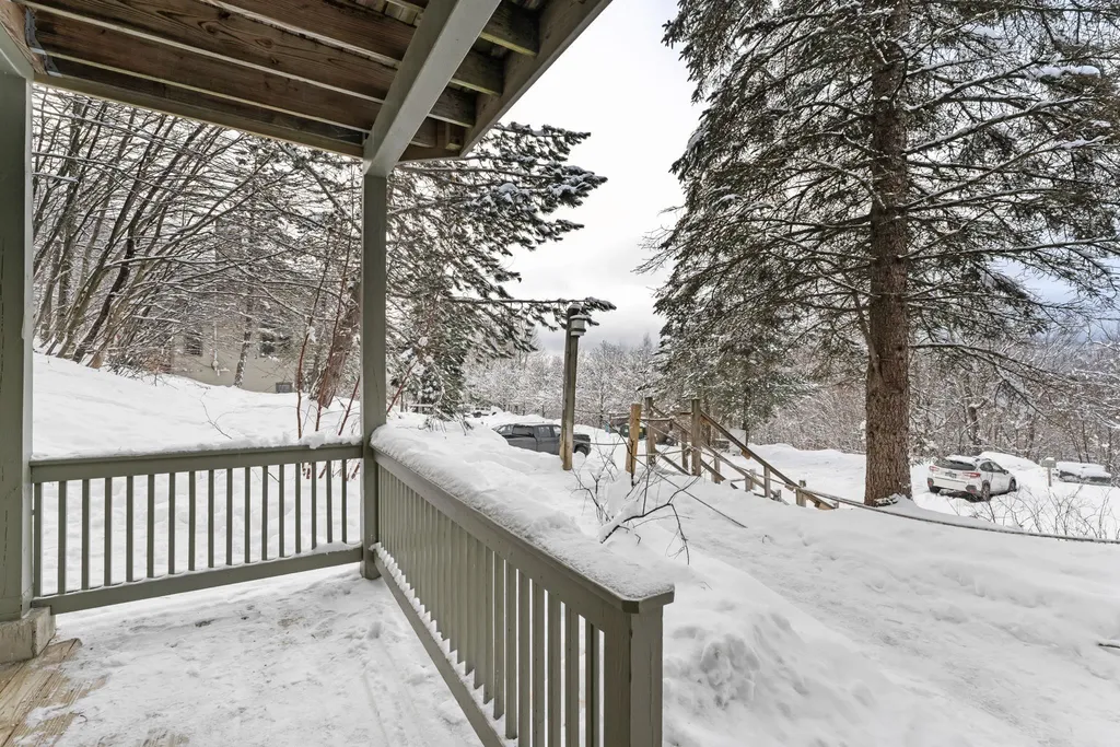 17 Bear Run Bolton VT 05676
