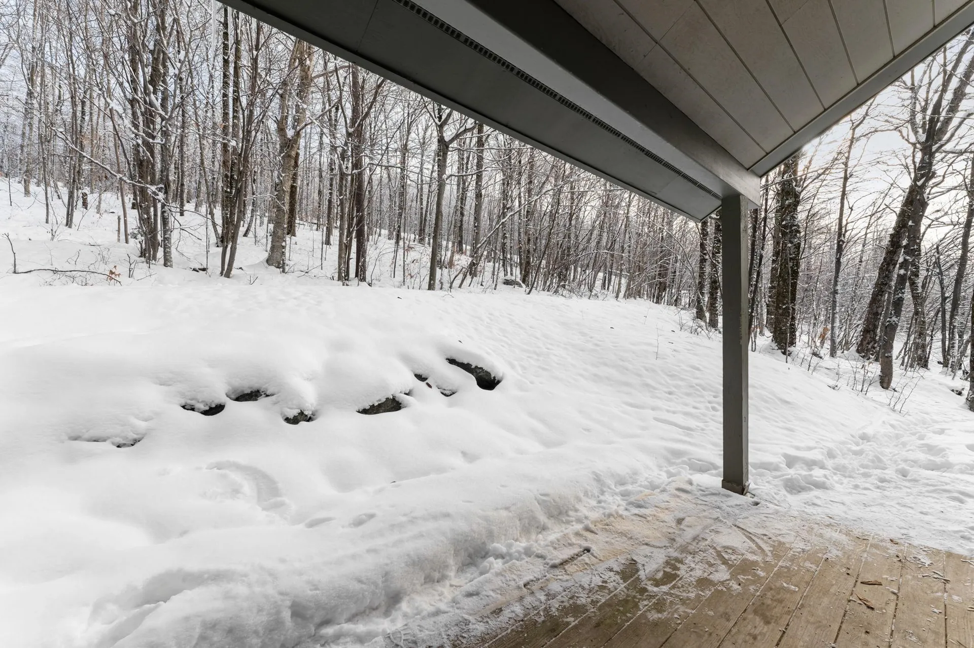 17 Bear Run Bolton VT 05676