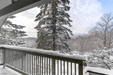 17 Bear Run Bolton VT 05676