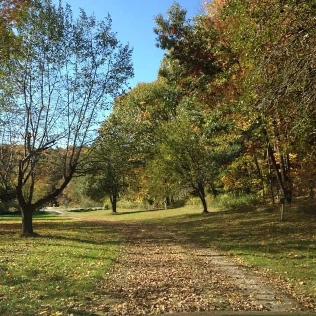 78 Hitchcock Road Pittsford VT 05763