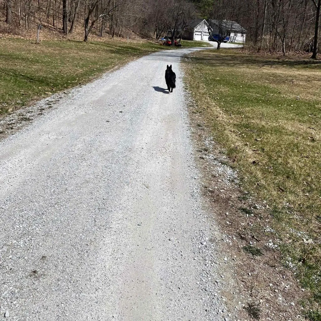 78 Hitchcock Road Pittsford VT 05763