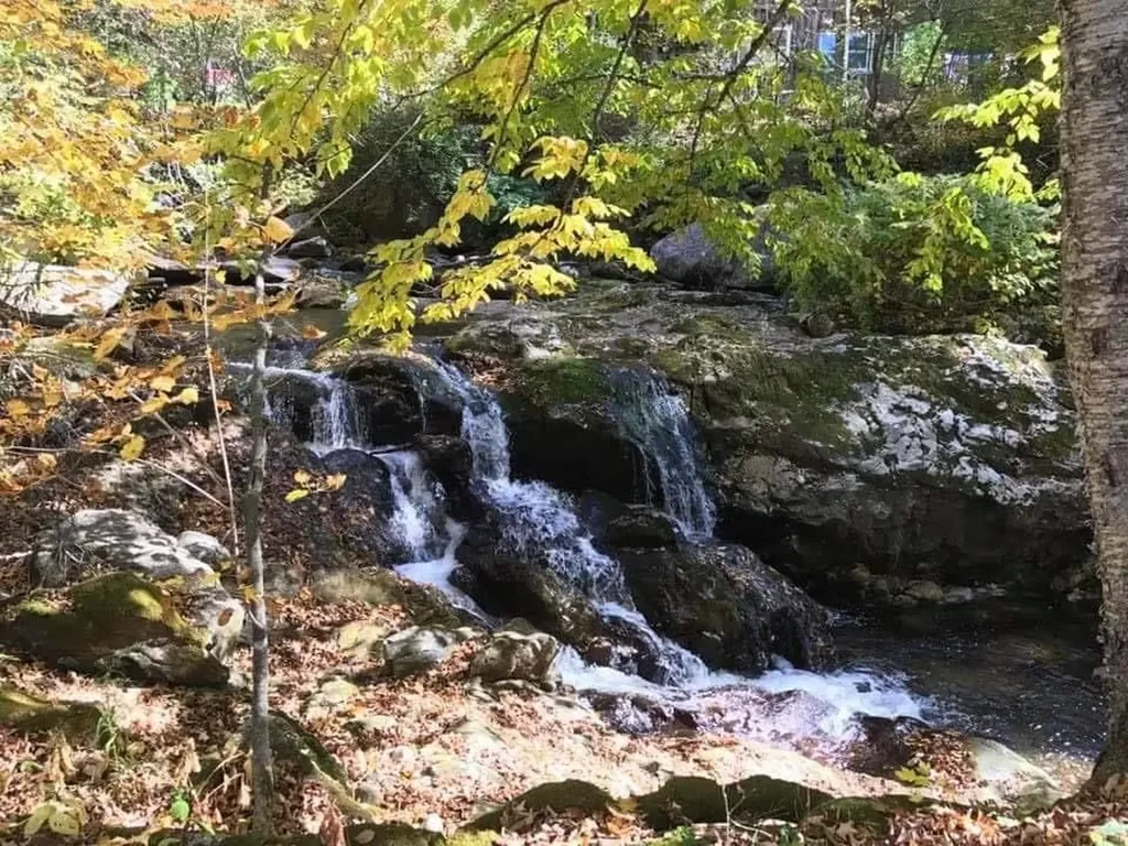 78 Hitchcock Road Pittsford VT 05763