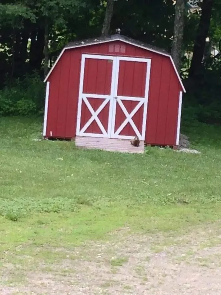 78 Hitchcock Road Pittsford VT 05763