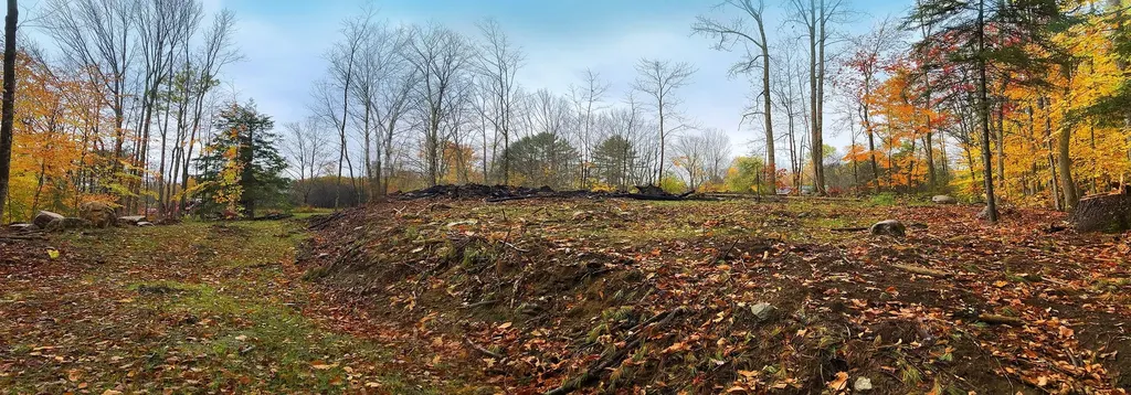 111 Gib Lockerby Road Grafton VT 05146