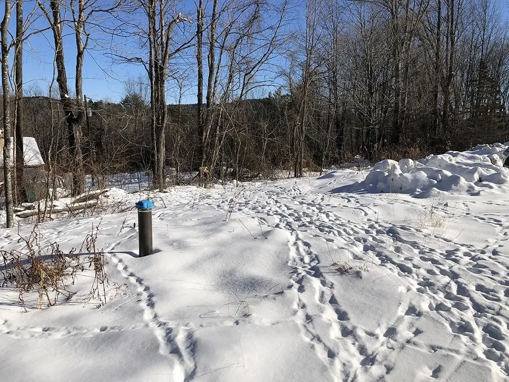 111 Gib Lockerby Road Grafton VT 05146