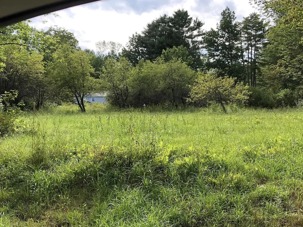 111 Gib Lockerby Road Grafton VT 05146