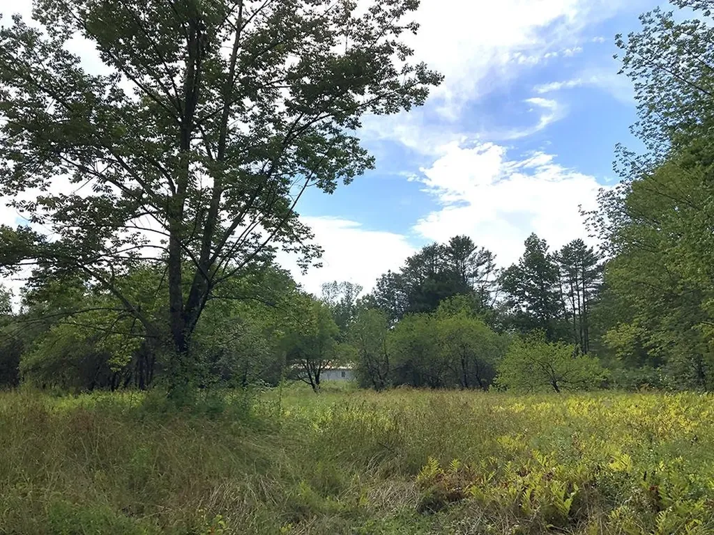 111 Gib Lockerby Road Grafton VT 05146