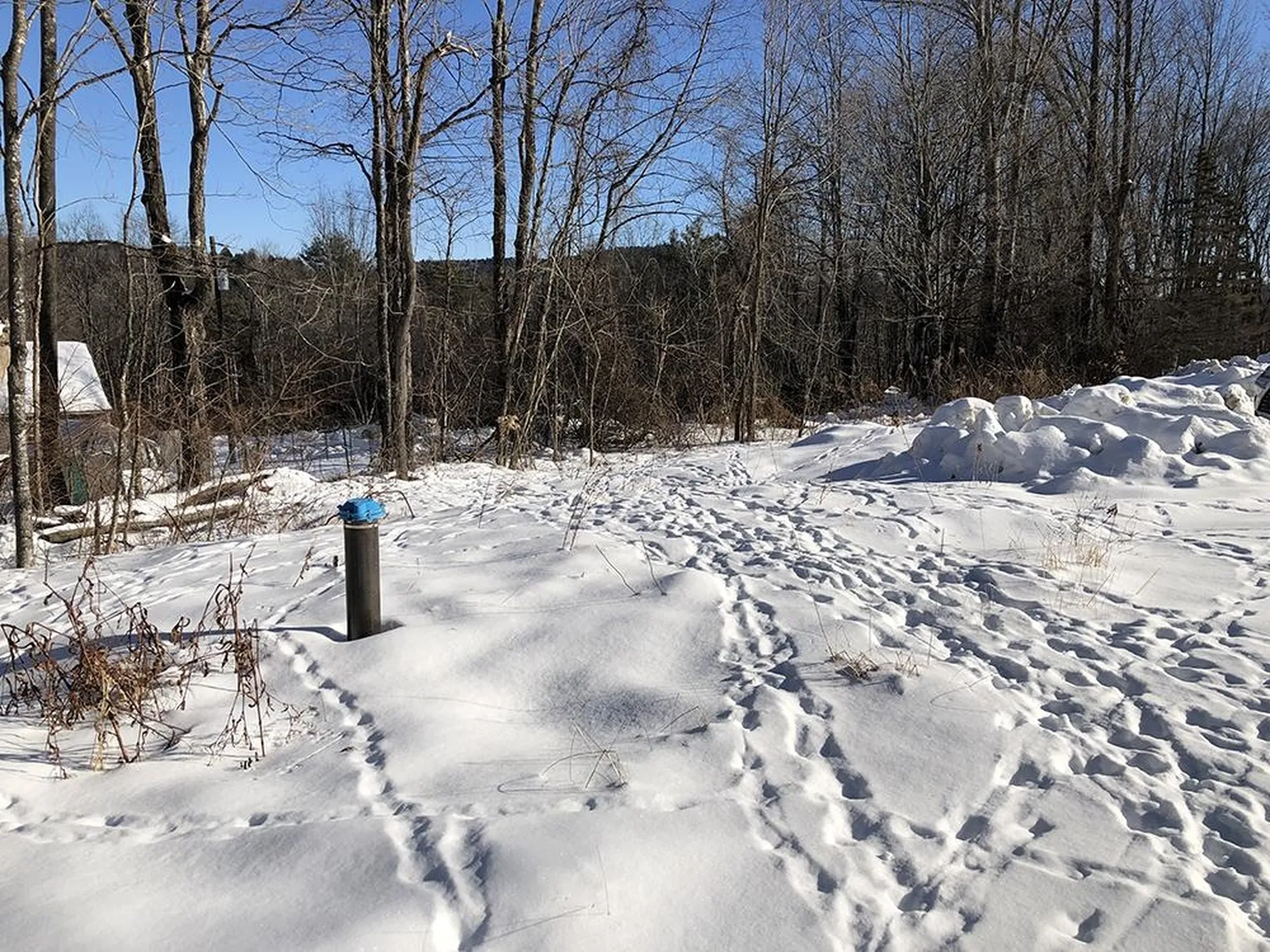 111 Gib Lockerby Road Grafton VT 05146