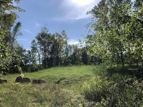 111 Gib Lockerby Road Grafton VT 05146