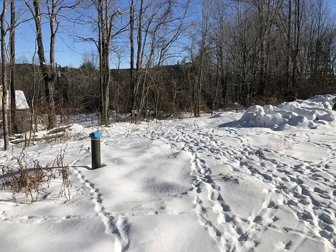 111 Gib Lockerby Road Grafton VT 05146