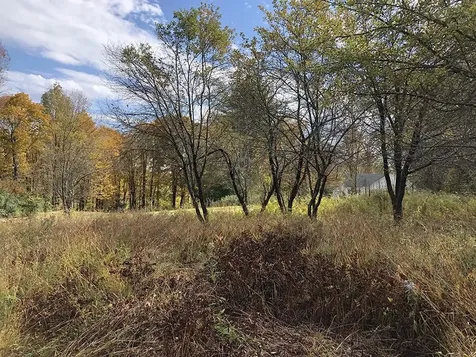 111 Gib Lockerby Road Grafton VT 05146