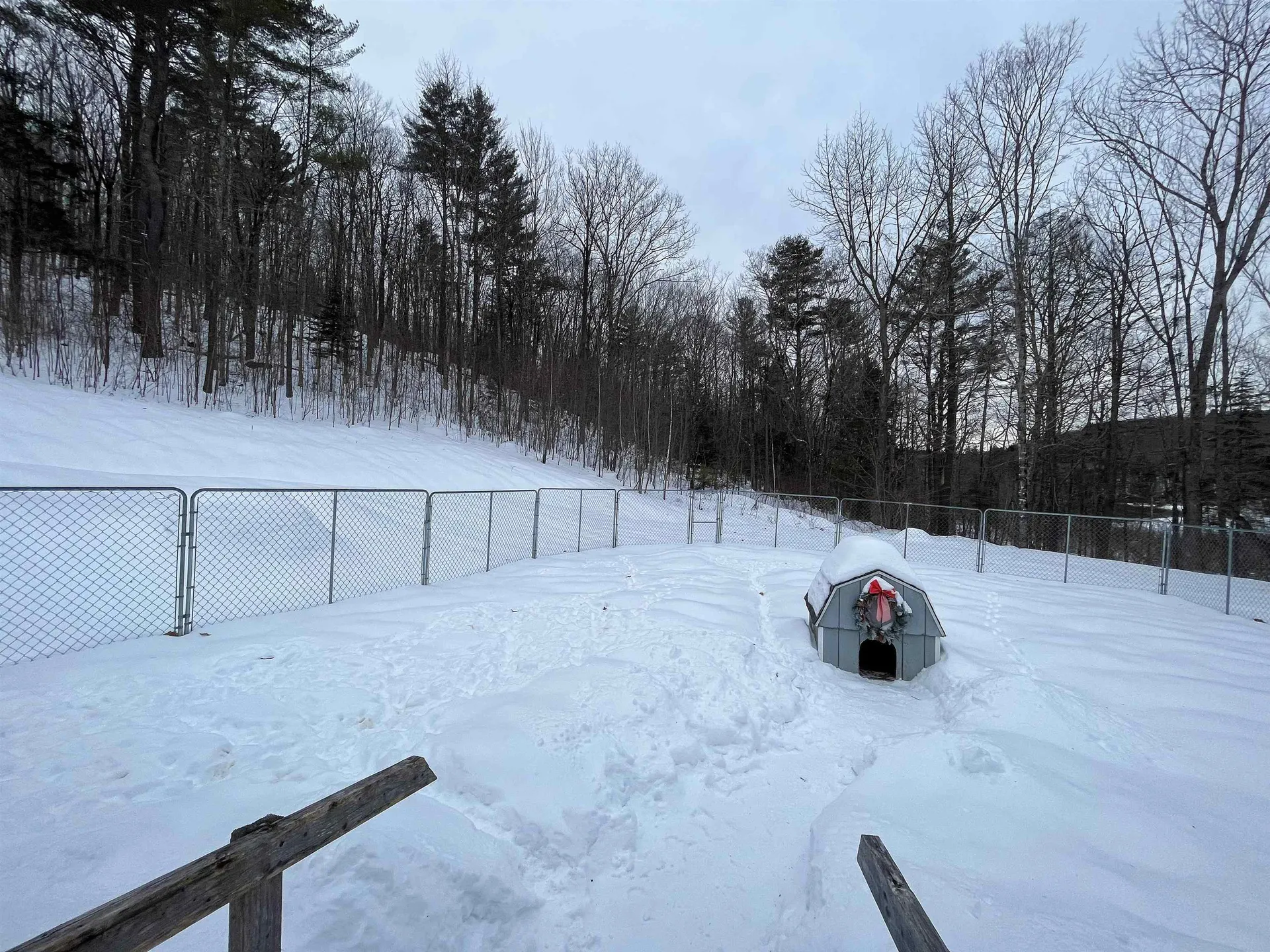 271 Riddle Hill Road Grafton NH 03240