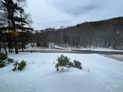 271 Riddle Hill Road Grafton NH 03240