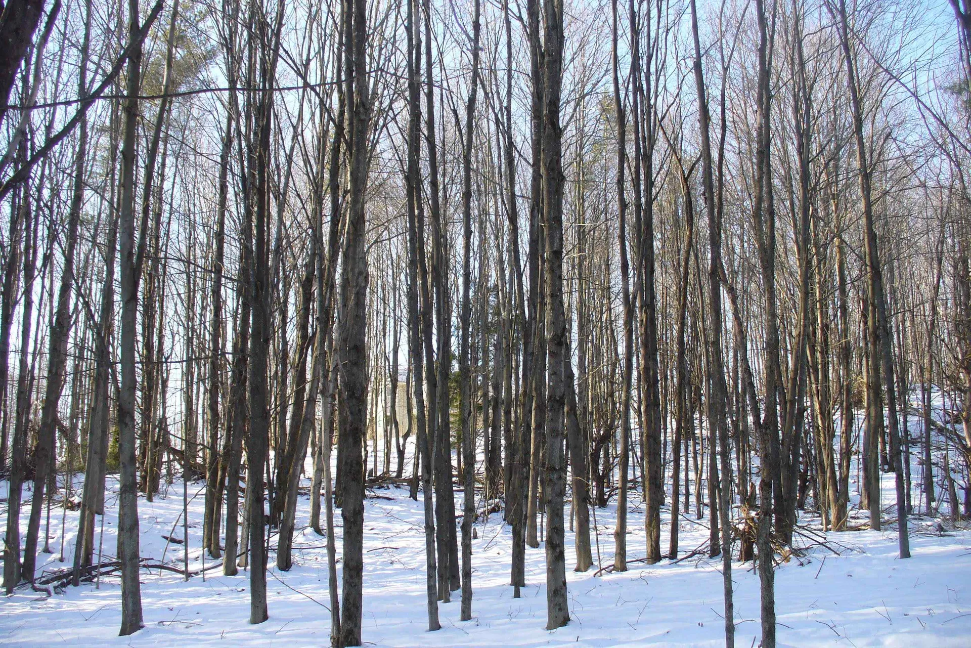 137 Chapin Road Essex VT 05452