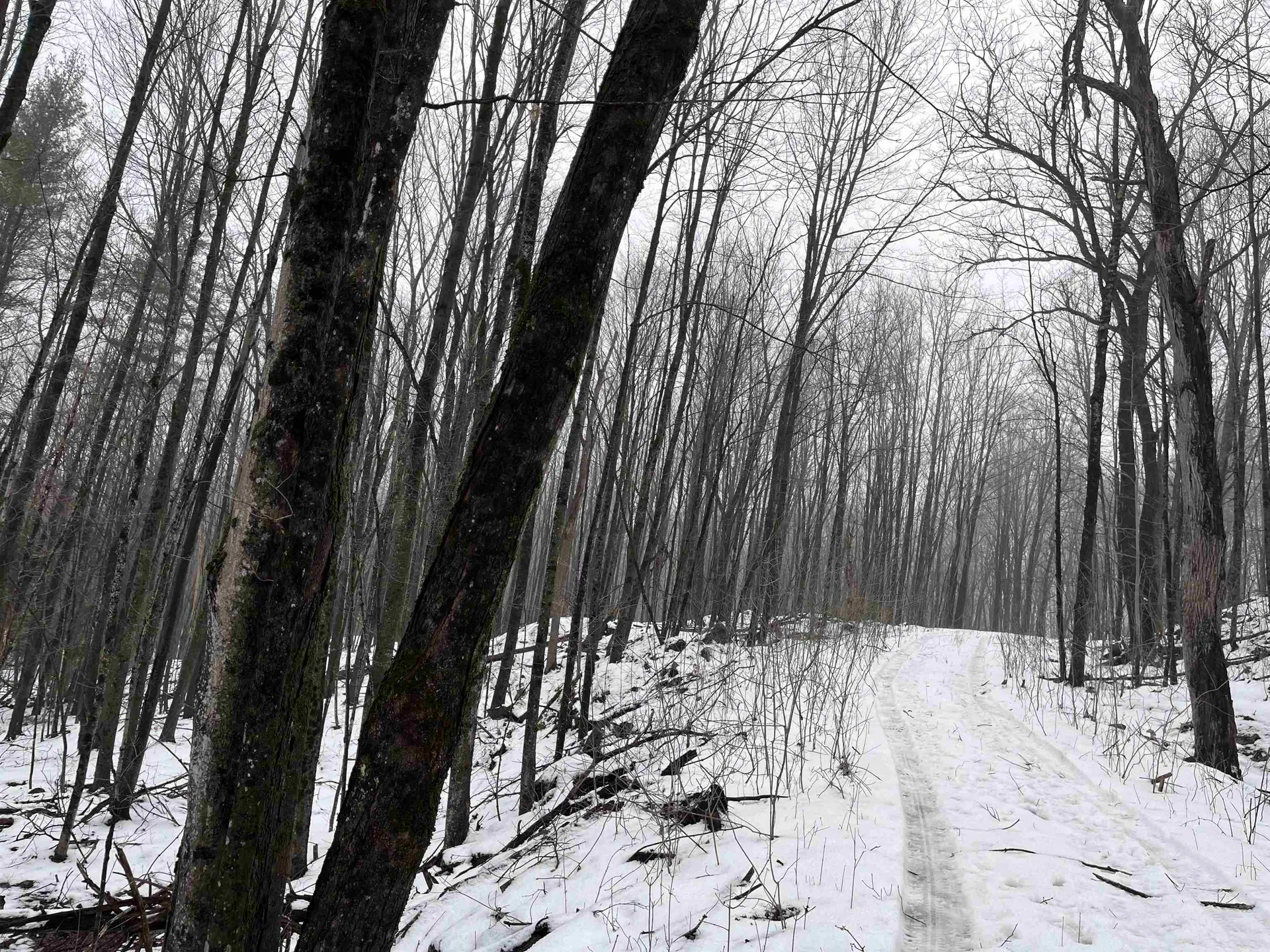 137 Chapin Road Essex VT 05452