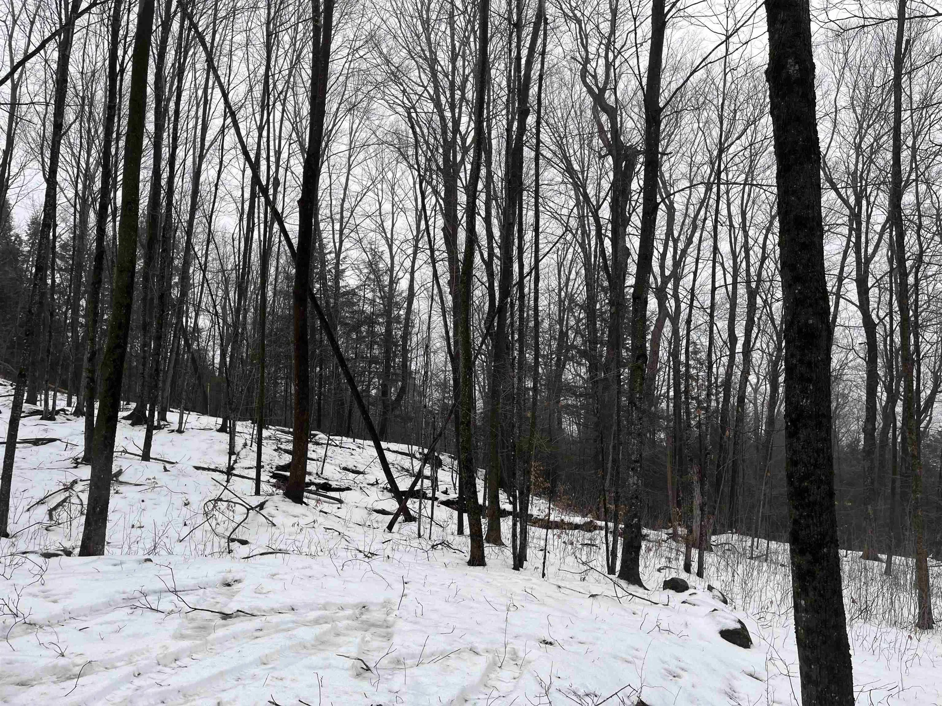 137 Chapin Road Essex VT 05452