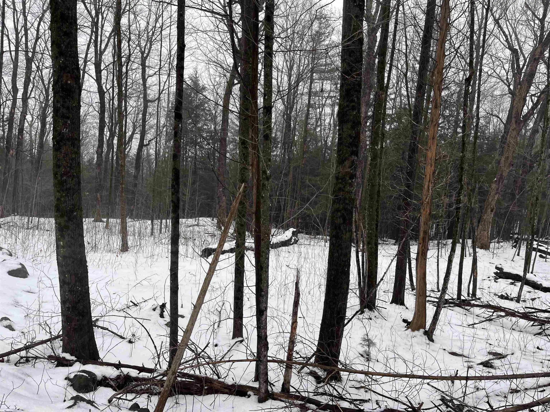 137 Chapin Road Essex VT 05452