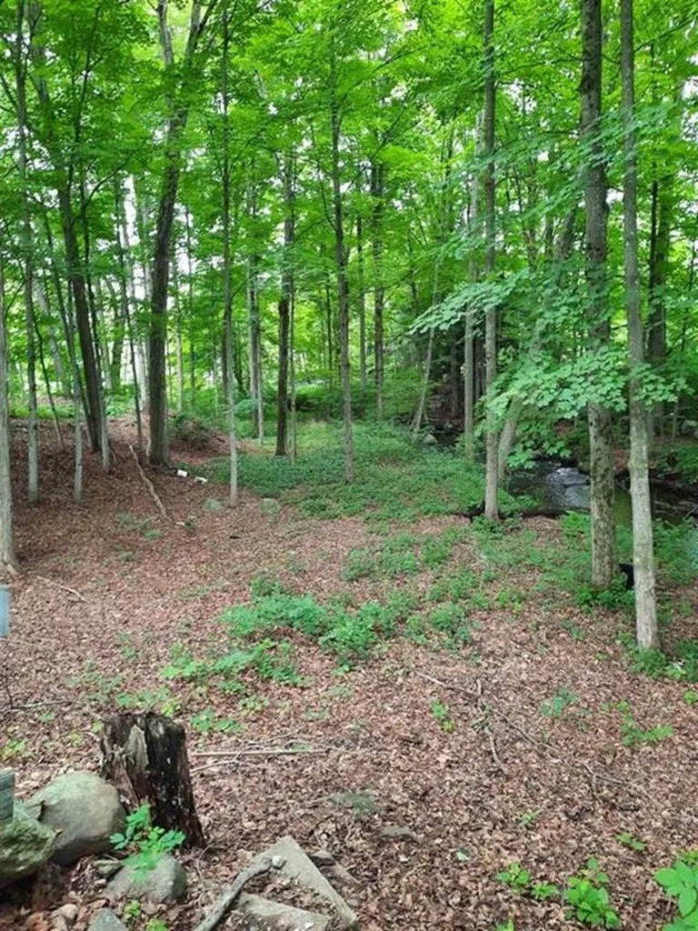 23 West Union Street Goffstown NH 03045