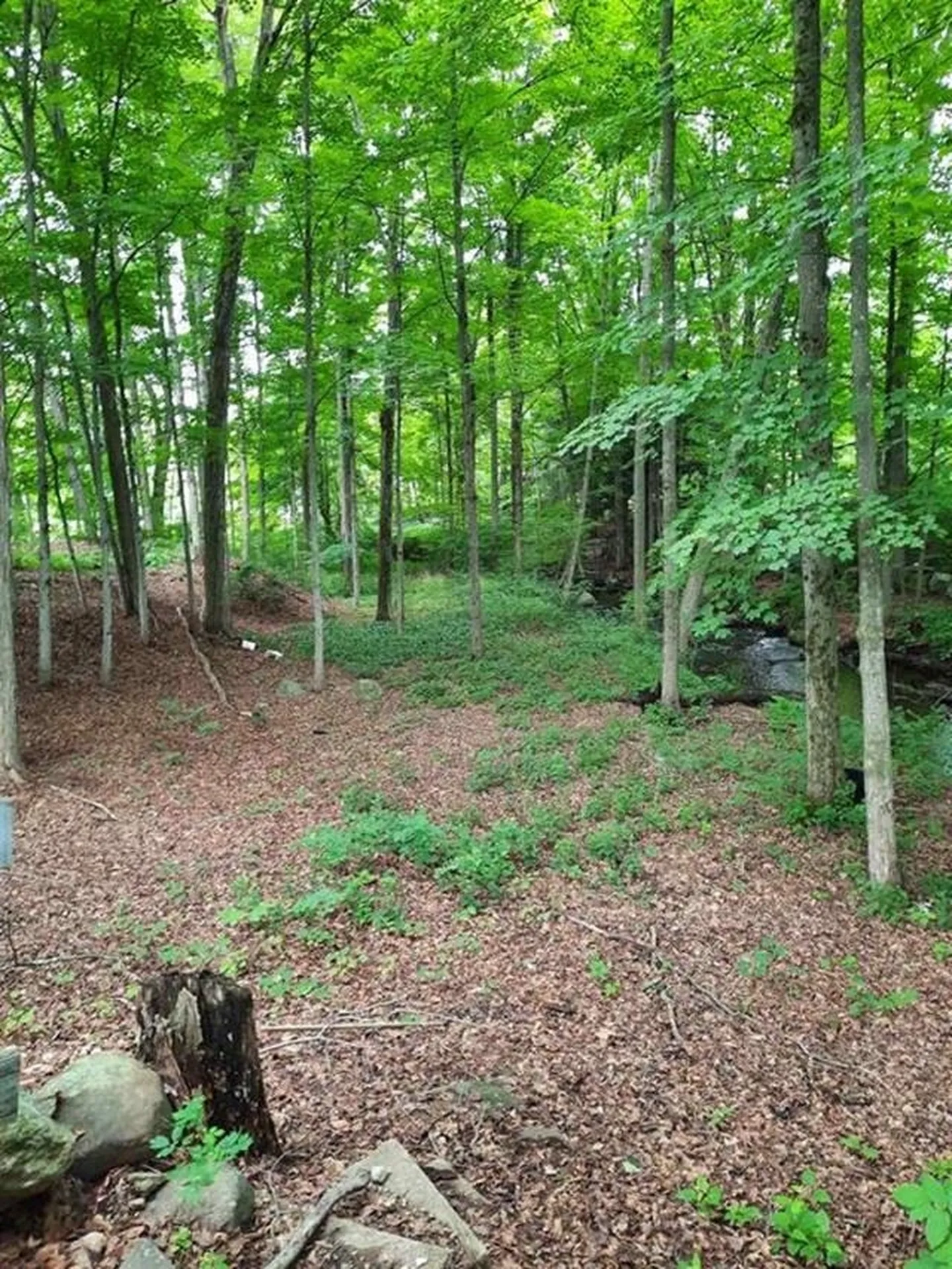 23 West Union Street Goffstown NH 03045