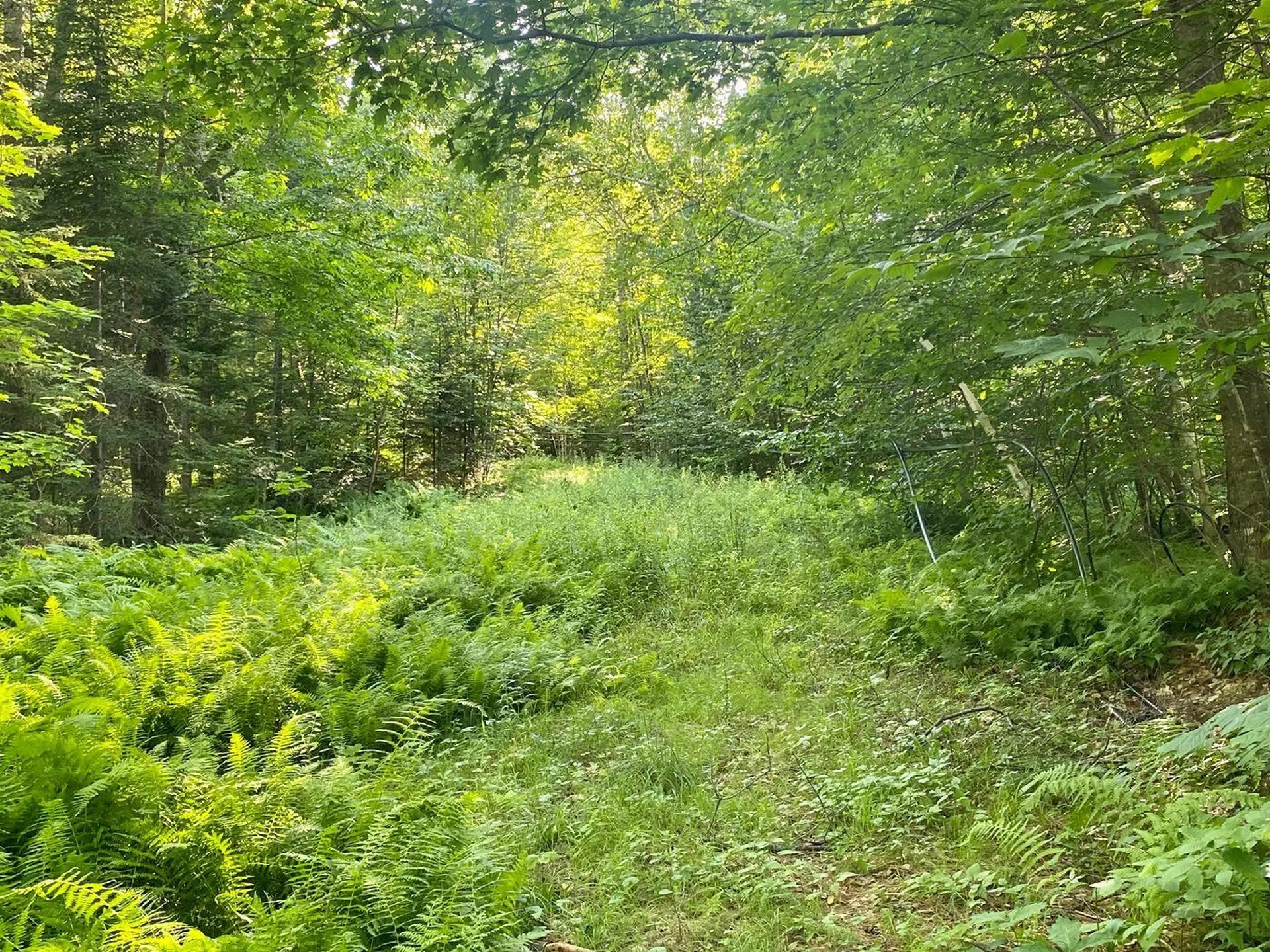 Route 25a Orford NH 03777